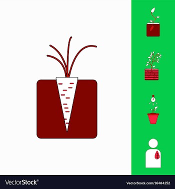 Collection of icons and plants stages vector image