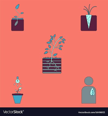 Collection of icons and plants stages vector image