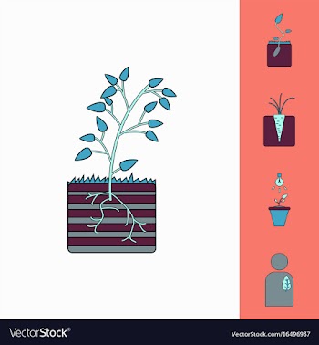 Collection of icons and plants stages vector image