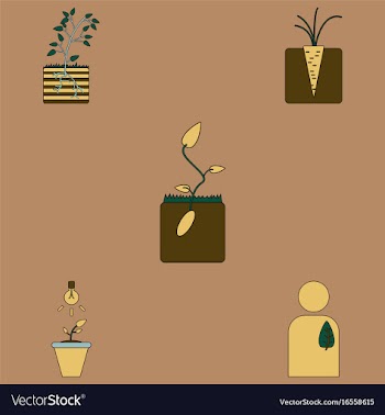 Collection of icons and plants stages vector image
