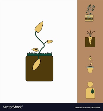Collection of icons and plants stages vector image
