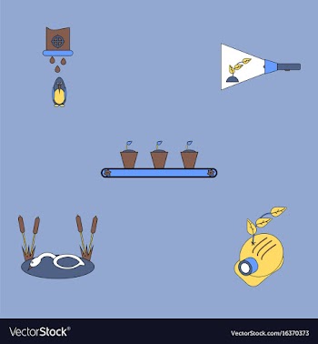 Collection of icons and preserve the ecosystem vector image