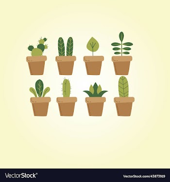 collection of indoor plants isolated on white