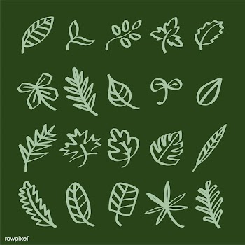 Collection of leaf doodles illustration | Free stock vector - 428449
