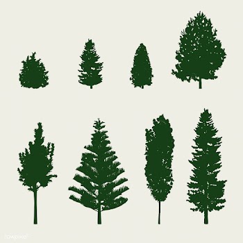 Collection of pine tree silhouettes vector | Free stock vector - 488647