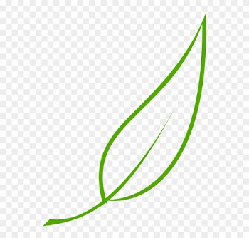 Collection Of Road Outline Cliparts - Leaf Clip Art