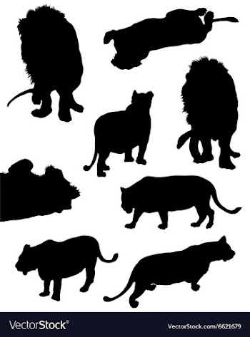 Collection of silhouettes of lions vector image