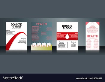 Collection of stylish flyers templates or banners vector image