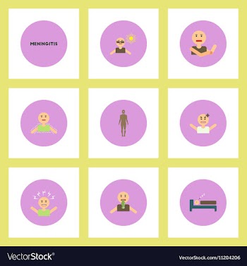 Collection of stylish icons in colorful vector image