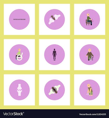 Collection of stylish icons in colorful vector image