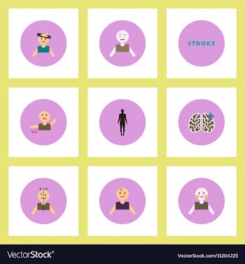 Collection of stylish icons in colorful vector image