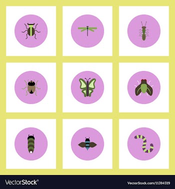 Collection of stylish icons in colorful vector image