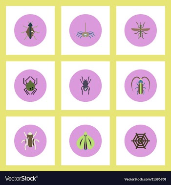 Collection of stylish icons in colorful vector image