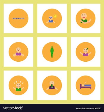 Collection of stylish icons in colorful vector image