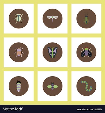Collection of stylish icons in colorful vector image