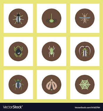 Collection of stylish icons in colorful vector image