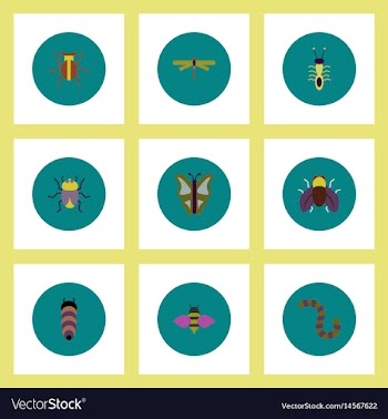 Collection of stylish icons in colorful vector image