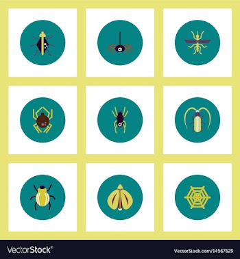 Collection of stylish icons in colorful vector image