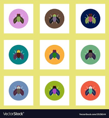 Collection of stylish icons in colorful vector image