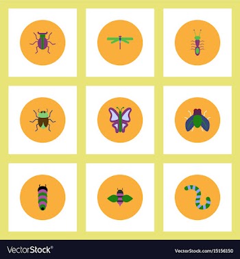 Collection of stylish icons in colorful vector image