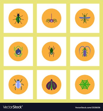 Collection of stylish icons in colorful vector image