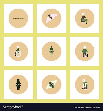 Collection of stylish icons in colorful vector image
