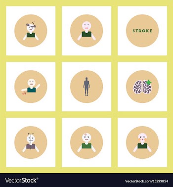 Collection of stylish icons in colorful vector image