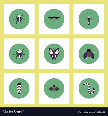 Collection of stylish icons in colorful vector image