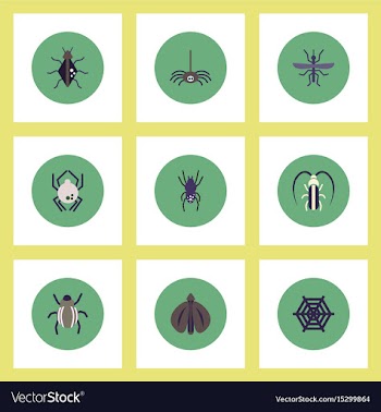 Collection of stylish icons in colorful vector image