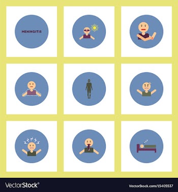 Collection of stylish icons in colorful vector image