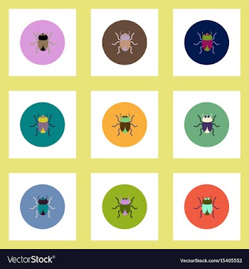 Collection of stylish icons in colorful vector image