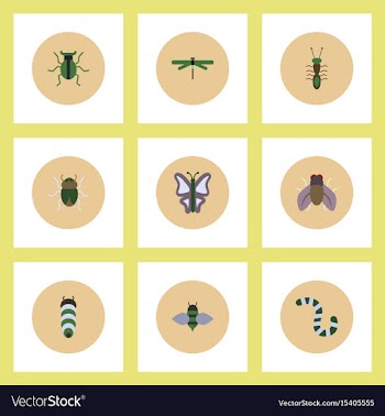 Collection of stylish icons in colorful vector image
