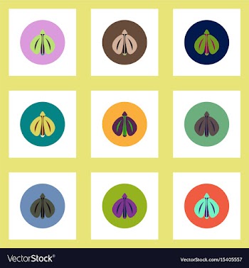 Collection of stylish icons in colorful vector image