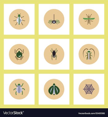 Collection of stylish icons in colorful vector image