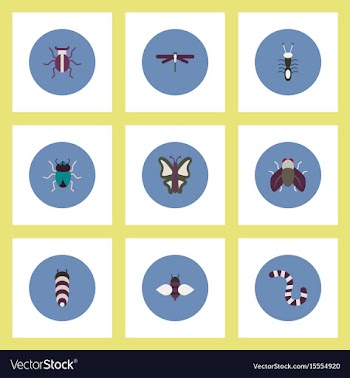 Collection of stylish icons in colorful vector image
