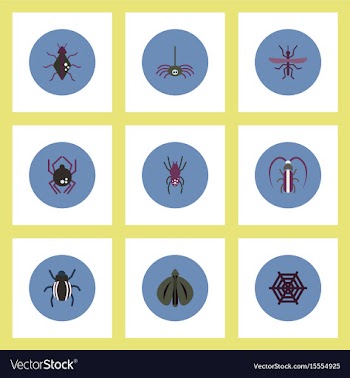 Collection of stylish icons in colorful vector image