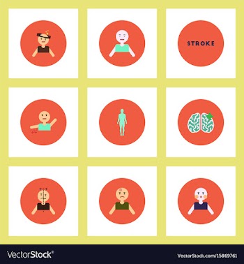 Collection of stylish icons in colorful vector image