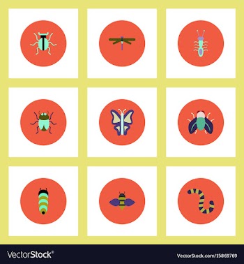 Collection of stylish icons in colorful vector image