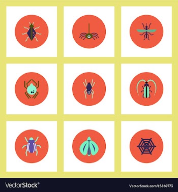 Collection of stylish icons in colorful vector image