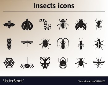 Collection of stylish icons insects vector image