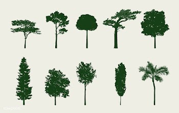 Collection of tree silhouettes vector | Free stock vector - 488613