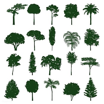 Collection of tree silhouettes vector | Free stock vector - 488615