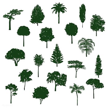 Collection of tree silhouettes vector | Free stock vector - 488616