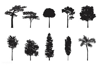Collection of tree silhouettes vector | Free stock vector - 488619