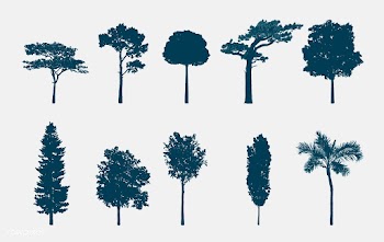 Collection of tree silhouettes vector | Free stock vector - 488621