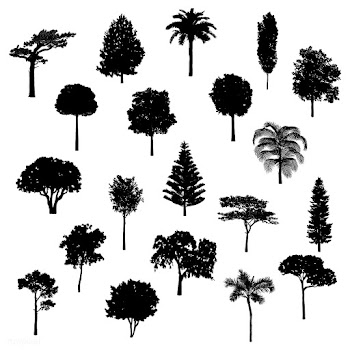 Collection of tree silhouettes vector | Free stock vector - 488622