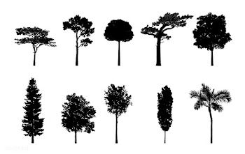 Collection of tree silhouettes vector | Free stock vector - 488623