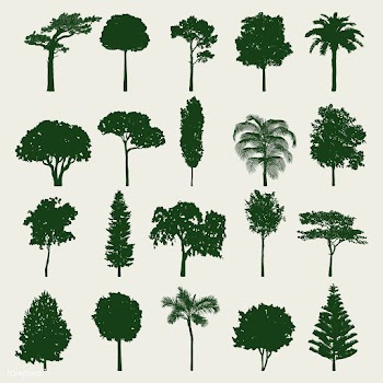 Collection of tree silhouettes vector | Free stock vector - 488642