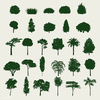 Collection of tree silhouettes vector | Free stock vector - 488644