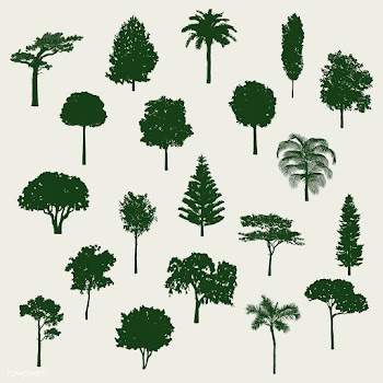 Collection of tree silhouettes vector | Free stock vector - 488651